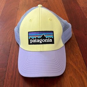 Patagonia trucker hat